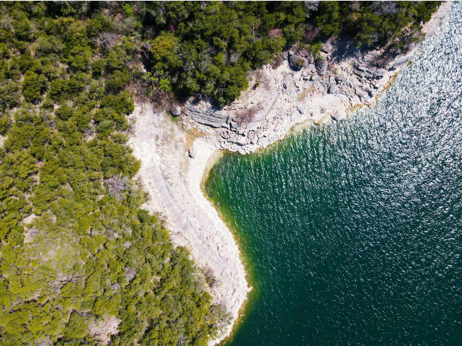 Aerial view of a rocky shoreline with green vegetation meeting the water